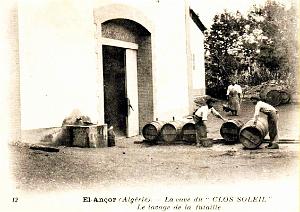 El-Ancor - Caves du Clos Soleil - Lavage Futaille